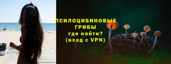 spice Армянск