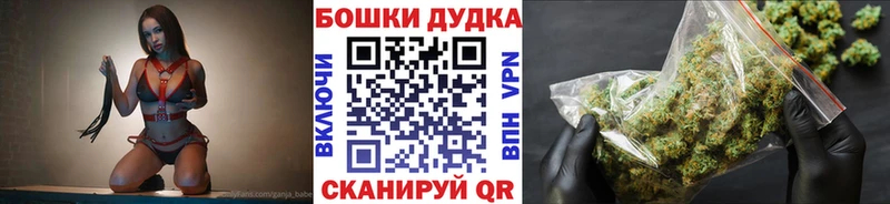 MEGA зеркало  купить закладку  Никольск  Каннабис индика 
